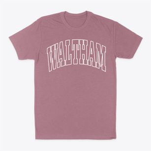 Waltham Massachusetts Trendy Block Classic Dad T-Shirt