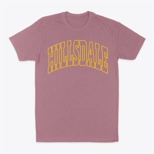 Hillsdale Missouri Trendy Block Classic Dad T-Shirt