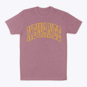 Kewanee Illinois Trendy Block Classic Dad T-Shirt
