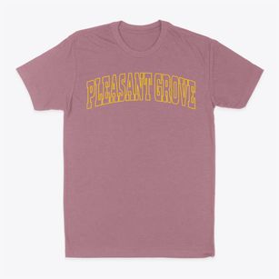 Pleasant Grove Alabama Trendy Block Classic Dad T-Shirt