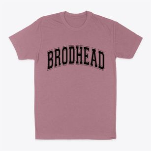 Brodhead Wisconsin Varsity Classic Dad T-Shirt