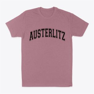 Austerlitz New York Varsity Classic Dad T-Shirt