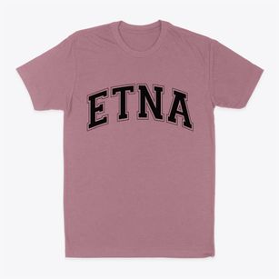 Etna California Varsity Classic Dad T-Shirt
