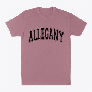 Allegany New York Varsity Classic Dad T-Shirt