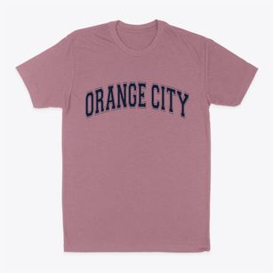 Orange City Iowa Varsity Classic Dad T-Shirt