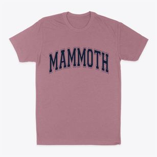 Mammoth Arizona Varsity Classic Dad T-Shirt
