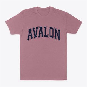 Avalon New Jersey Varsity Classic Dad T-Shirt