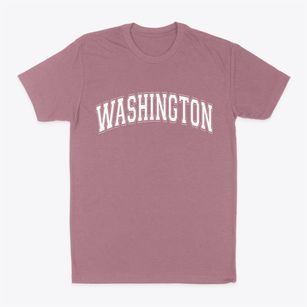 Washington New Hampshire Varsity Classic Dad T-Shirt