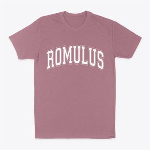 Romulus Michigan Varsity Classic Dad T-Shirt