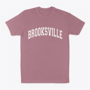 Brooksville Florida Varsity Classic Dad T-Shirt
