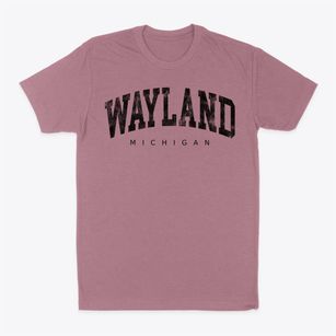 Wayland Michigan Urban Vibe Classic Dad T-Shirt