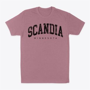 Scandia Minnesota Urban Vibe Classic Dad T-Shirt