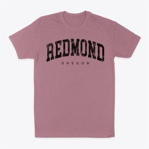 Redmond Oregon Urban Vibe Classic Dad T-Shirt