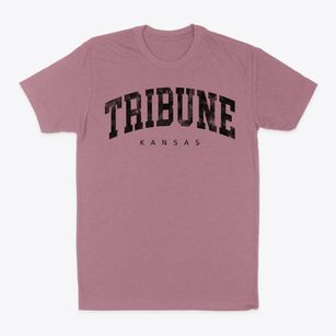 Tribune Kansas Urban Vibe Classic Dad T-Shirt