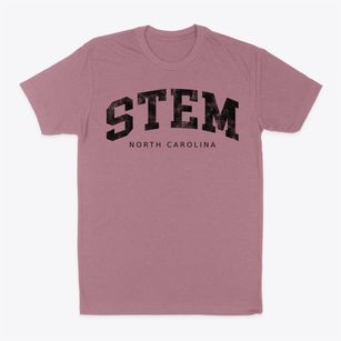 Stem North Carolina Urban Vibe Classic Dad T-Shirt