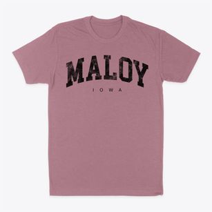 Maloy Iowa Urban Vibe Classic Dad T-Shirt