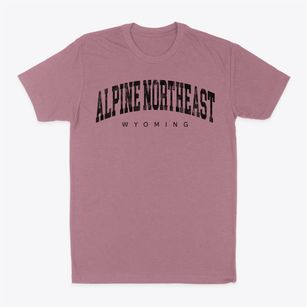 Alpine Northeast Wyoming Urban Vibe Classic Dad T-Shirt
