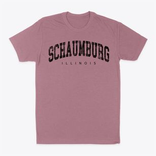 Schaumburg Illinois Urban Vibe Classic Dad T-Shirt