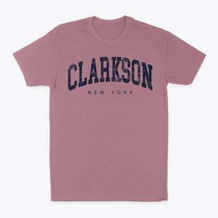 Clarkson New York Urban Vibe Classic Dad T-Shirt