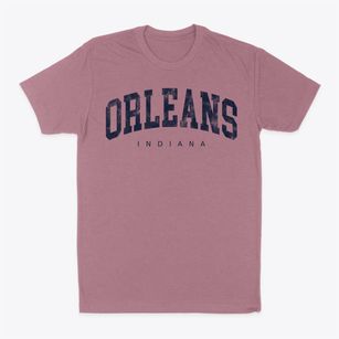 Orleans Indiana Urban Vibe Classic Dad T-Shirt