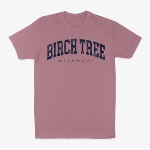 Birch Tree Missouri Urban Vibe Classic Dad T-Shirt