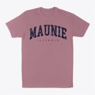 Maunie Illinois Urban Vibe Classic Dad T-Shirt