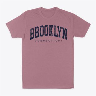 Brooklyn Connecticut Urban Vibe Classic Dad T-Shirt