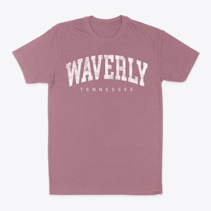 Waverly Tennessee Urban Vibe Classic Dad T-Shirt