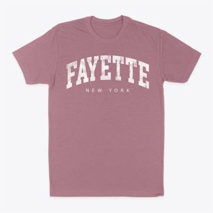 Fayette New York Urban Vibe Classic Dad T-Shirt
