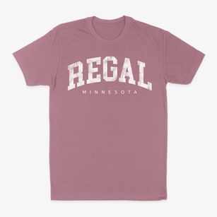 Regal Minnesota Urban Vibe Classic Dad T-Shirt