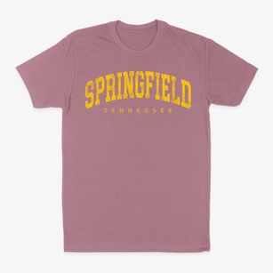 Springfield Tennessee Urban Vibe Classic Dad T-Shirt