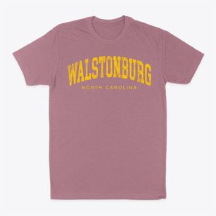 Walstonburg North Carolina Urban Vibe Classic Dad T-Shirt