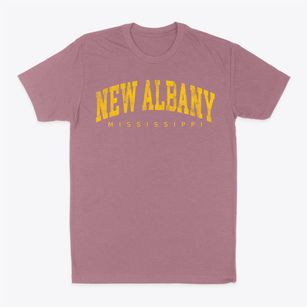 New Albany Mississippi Urban Vibe Classic Dad T-Shirt