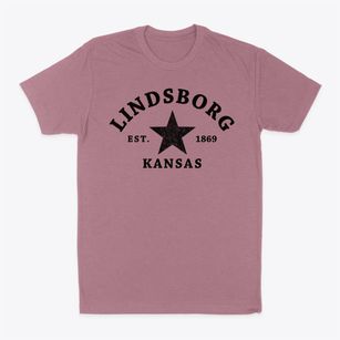 Lindsborg Kansas Star Classic Dad T-Shirt