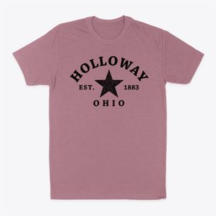 Holloway Ohio Star Classic Dad T-Shirt