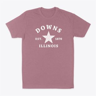 Downs Illinois Star Classic Dad T-Shirt