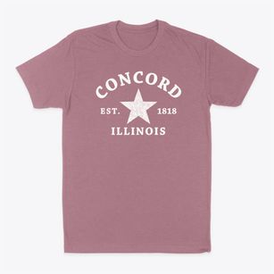 Concord Illinois Star Classic Dad T-Shirt