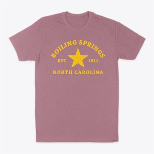 Boiling Springs North Carolina Star Classic Dad T-Shirt