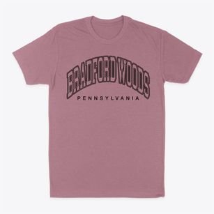 Bradford Woods Pennsylvania Inline Classic Dad T-Shirt