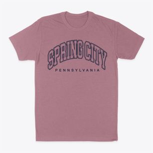 Spring City Pennsylvania Inline Classic Dad T-Shirt