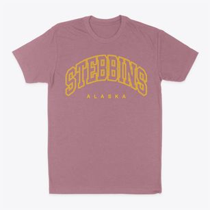 Stebbins Alaska Inline Classic Dad T-Shirt
