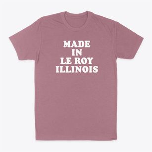 Le Roy Illinois Classic 70s Classic Dad T-Shirt