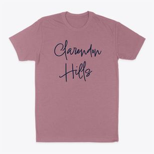 Clarendon Hills Illinois Freestyle Classic Dad T-Shirt
