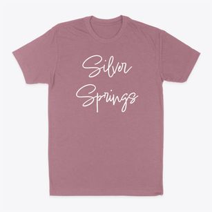 Silver Springs Missouri Freestyle Classic Dad T-Shirt