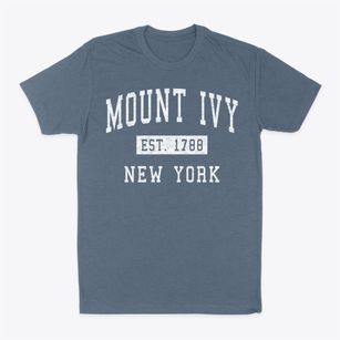 Mount Ivy New York Classic Established Classic Dad T-Shirt