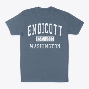 Endicott Washington Classic Established Classic Dad T-Shirt