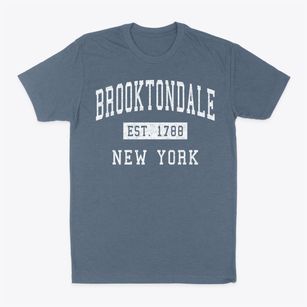 Brooktondale New York Classic Established Classic Dad T-Shirt