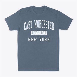 East Worcester New York Classic Established Classic Dad T-Shirt