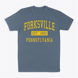 Forksville Pennsylvania Classic Established Classic Dad T-Shirt