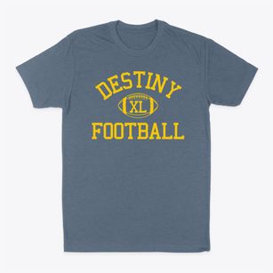 Destiny Community School Classic Football Classic Dad T-Shirt